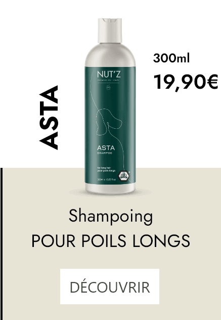 shampoing chien poils longs asta