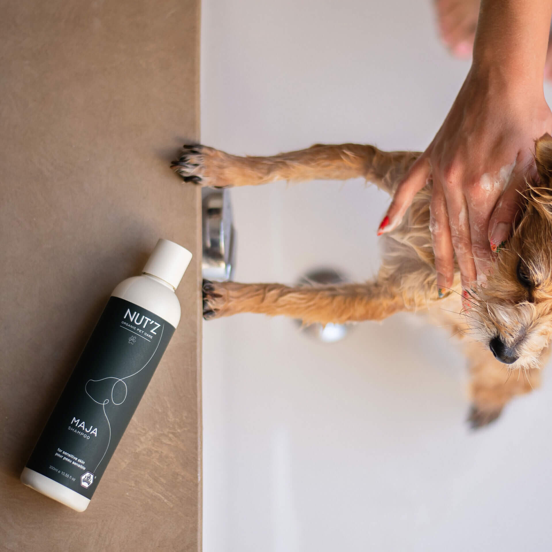 shampoing chien peau sensible maja nutz