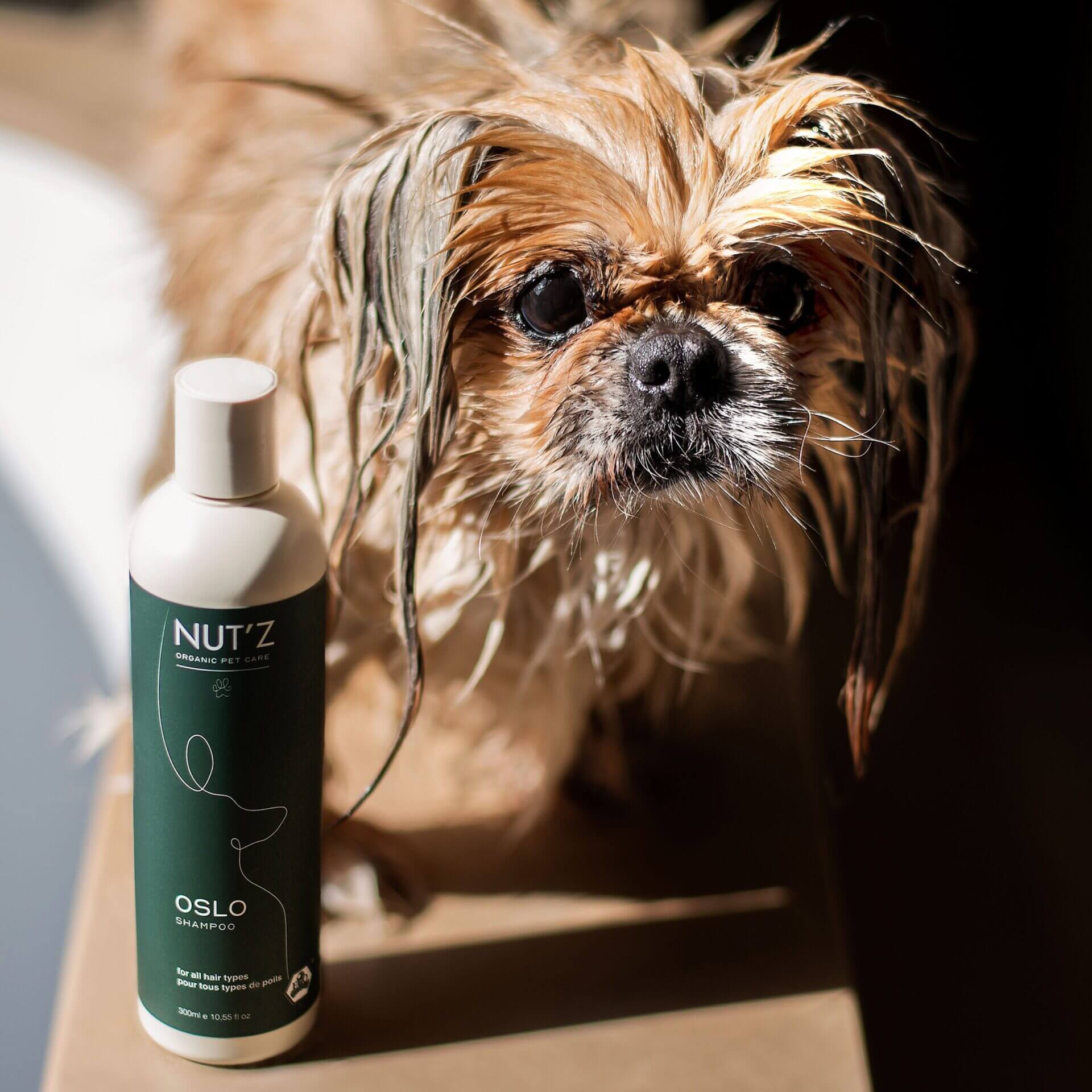 shampoing doux universel chien oslo nutz