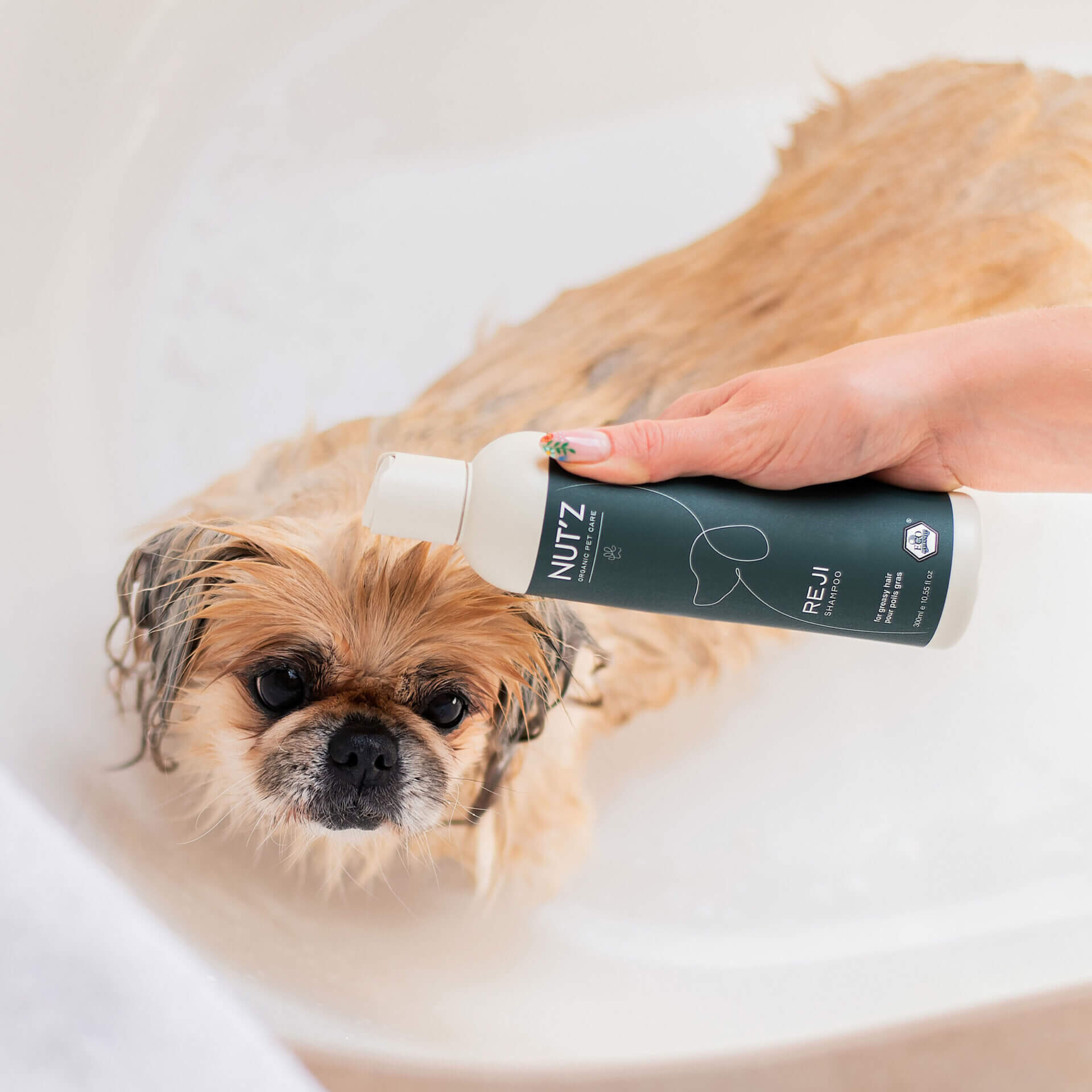 shampoing chien poils gras reji nutz