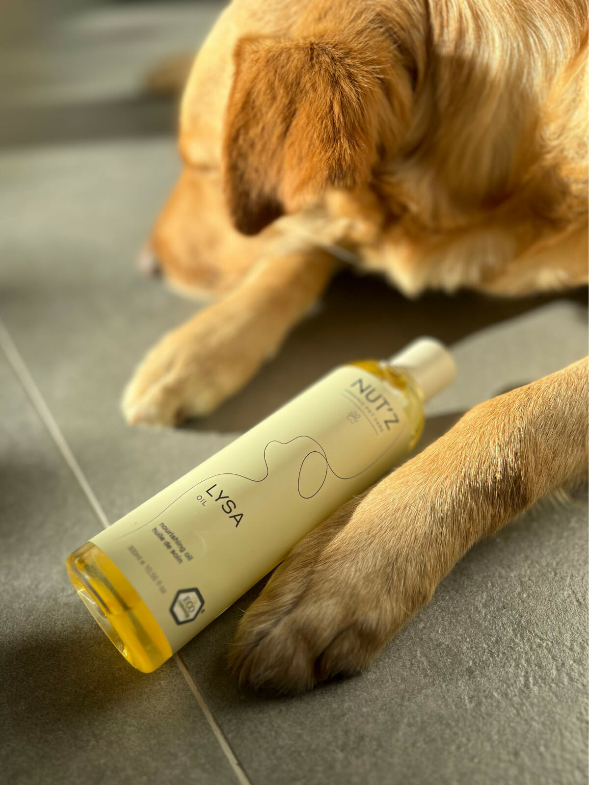 Qu’est-ce que le massage canin avec une huile massage chien ?