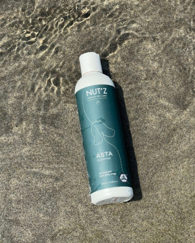Quelles sont les alternatives au shampoing chien blanc ?