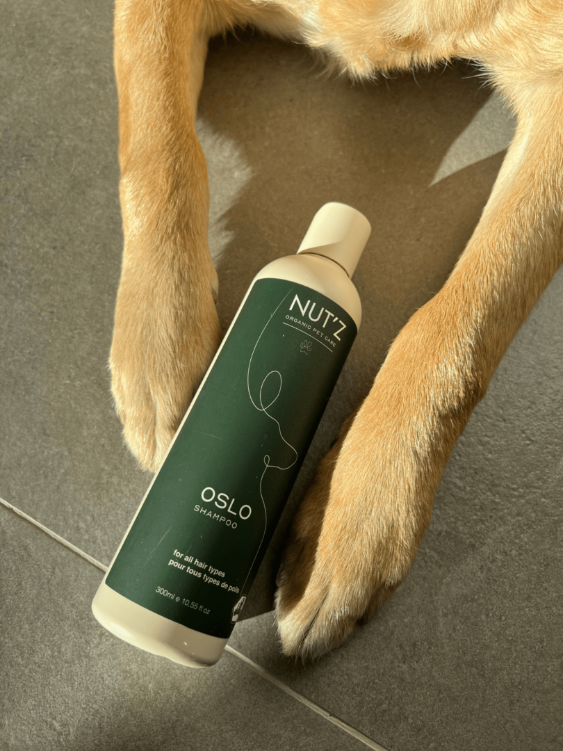 Le shampoo pour chien doit être adaptés à ses besoins