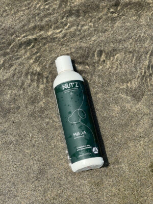 Teckel toilettage: comment en prendre soin ?