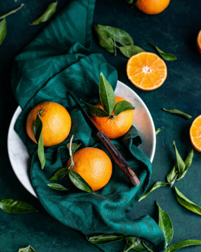 Huiles essentielles et chien: ils sont compatibles